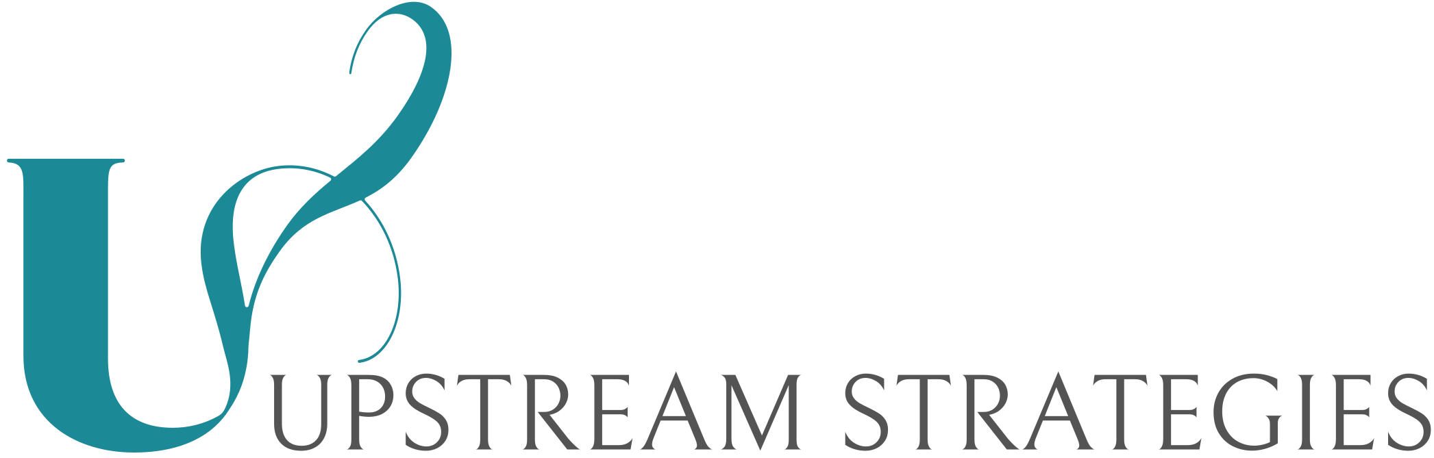 Upstream Strategies